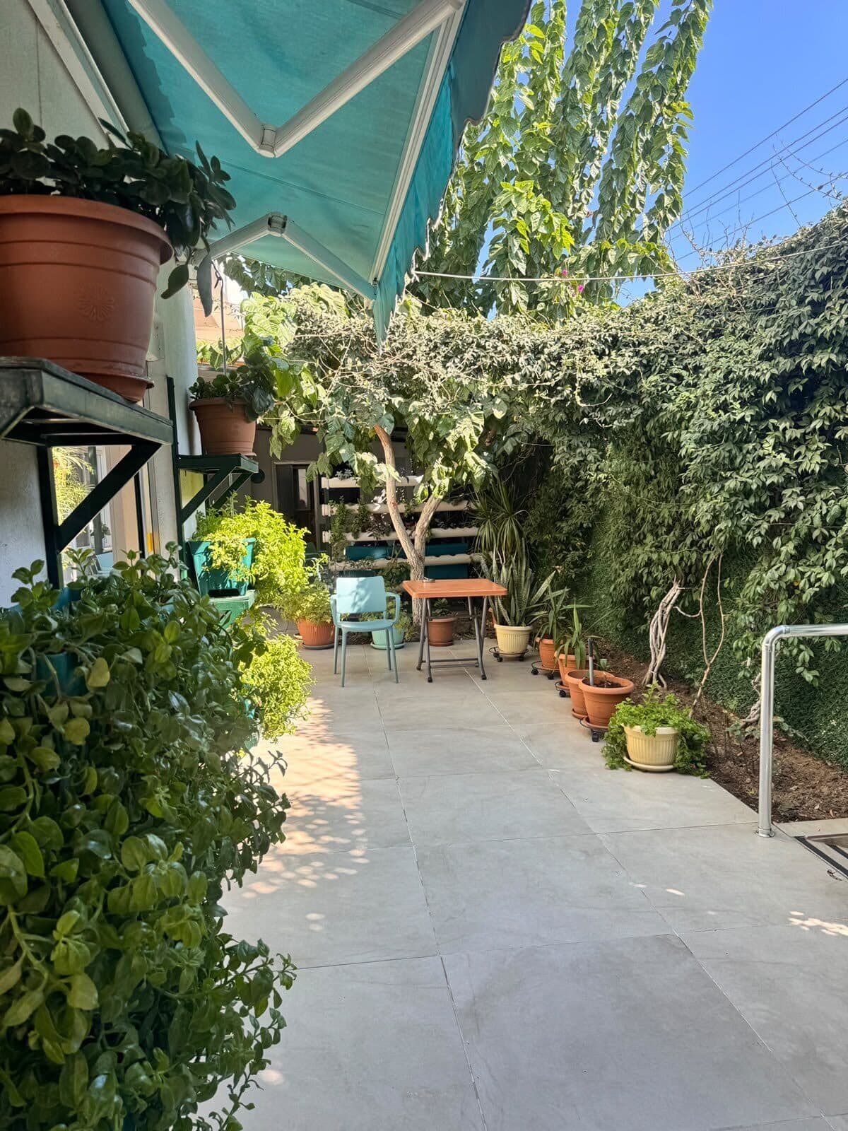 Saksılarla çevrili bahçe yolu ve gölgedeki oturma masası