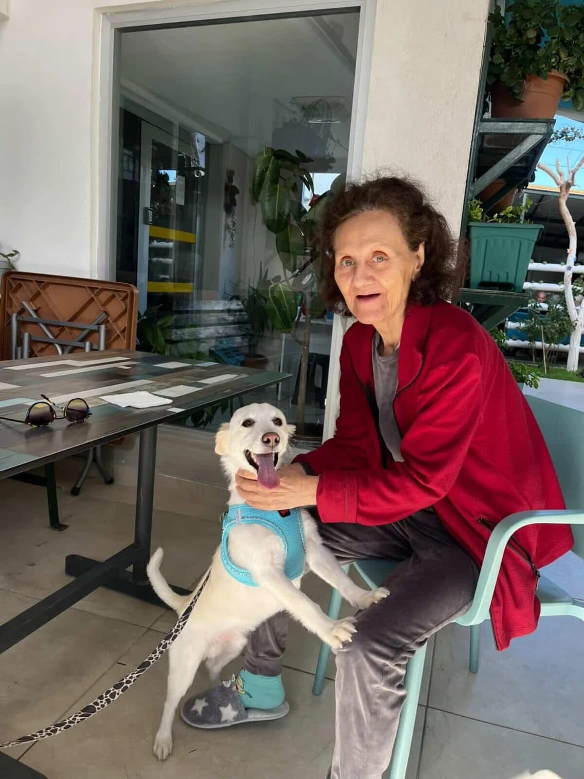 Terasta bir sakinimiz ve kurumun köpeği